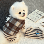 ChatGPT Image 1 déc. 2025, 16_51_23