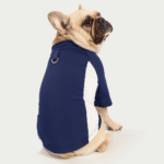 ChatGPT Image 3 déc. 2025, 19_03_18