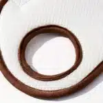 Sac à mains transport pour chien 13