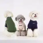 Pull en maille pour petit chien 1