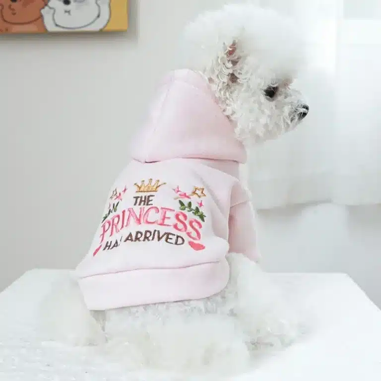 Sweat capuche pour bichon 23
