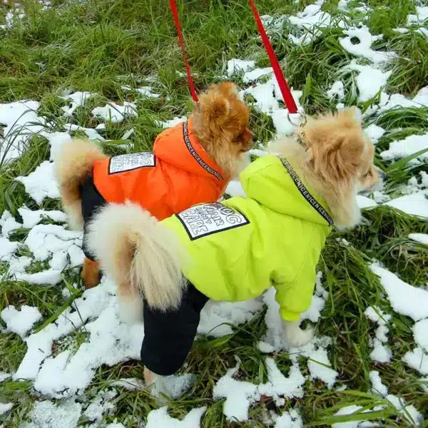 Doudoune hiver polaire pour chien 1
