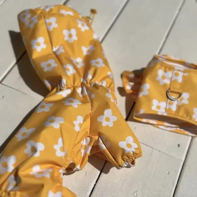 Imperméable avec motif pour chien 6