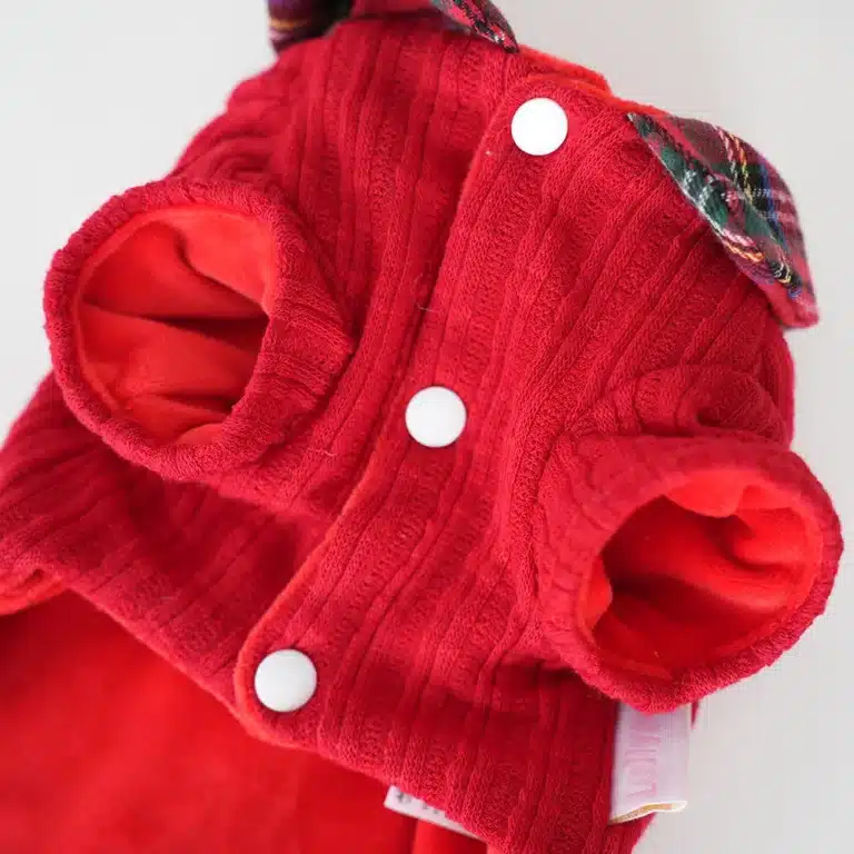 Ensemble noel petit chien 17