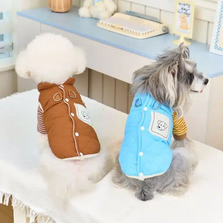 Gilet coupe vent sans manche pour petit chien 3