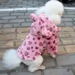 Manteau fourrure pilou pour chien 2