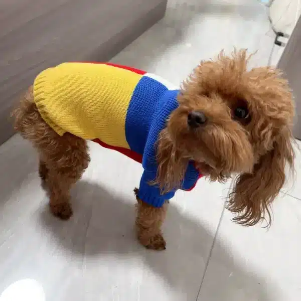 Pull à col rond pour petits chien 4