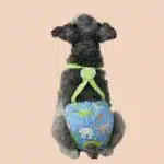 Couche-culotte vieux chien 16