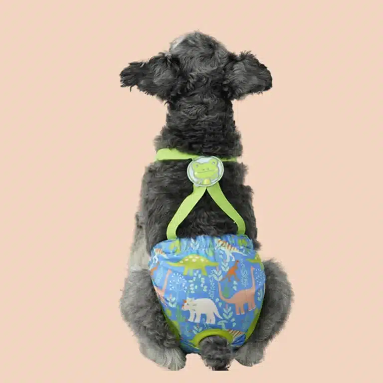 Couche-culotte vieux chien 16