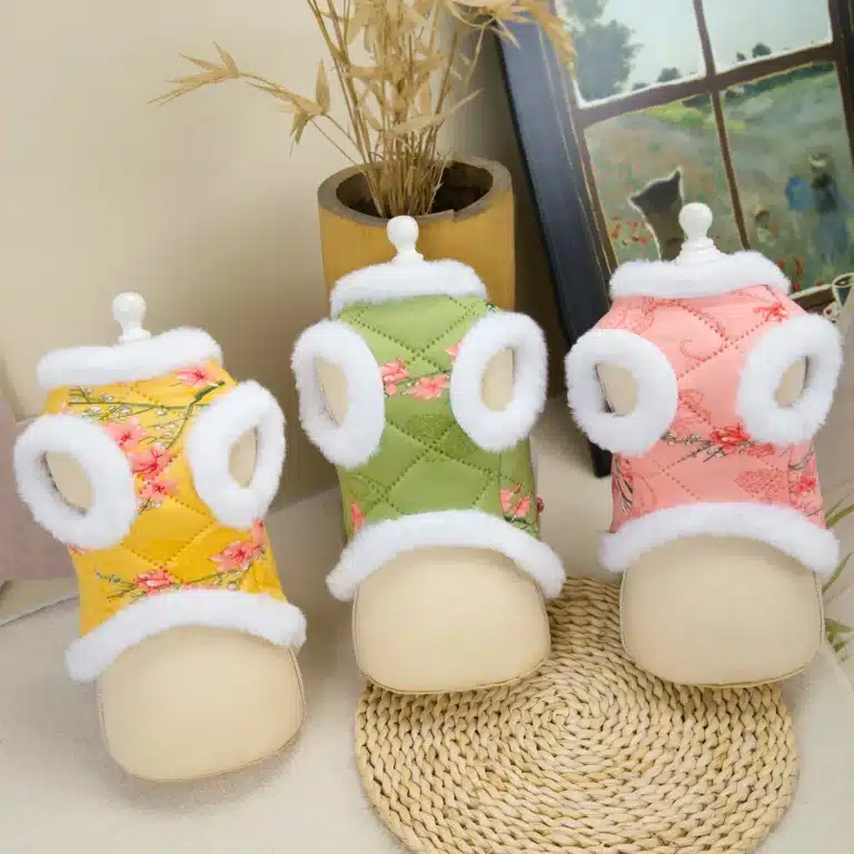 Costume chinois pour petit chien 11