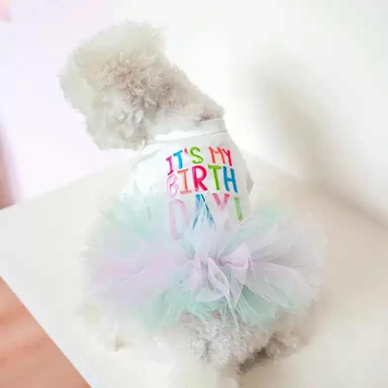 T-shirt Happy Birthday petit chien 11