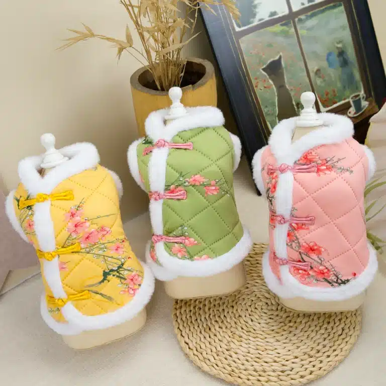 Costume chinois pour petit chien 1