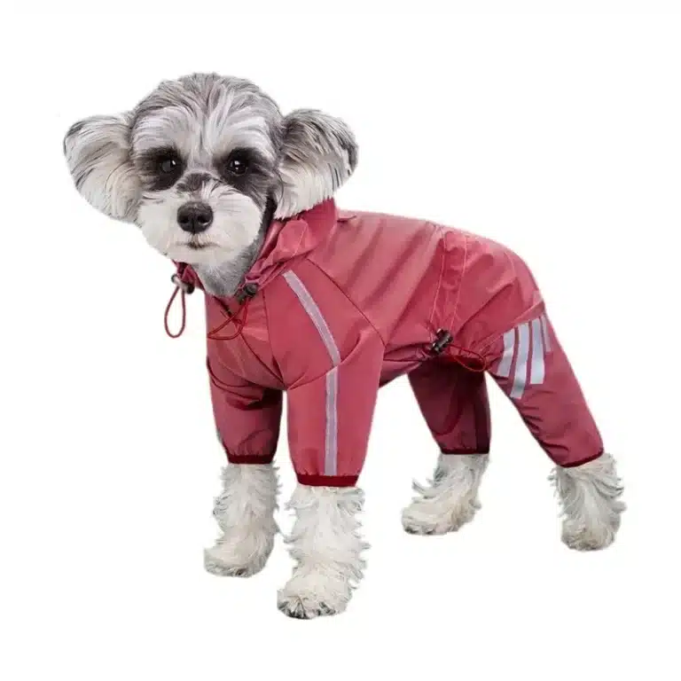 Imperméable réfléchissant petit chien 3