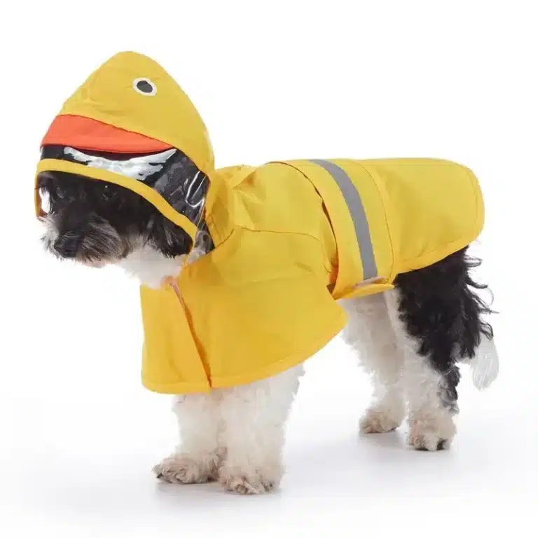 Imperméable animaux pour petit chien 21