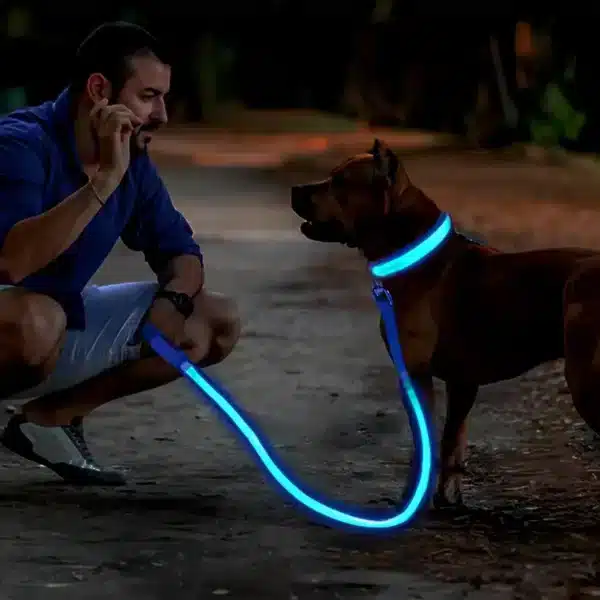 Laisse lumineuse LED pour chien 4
