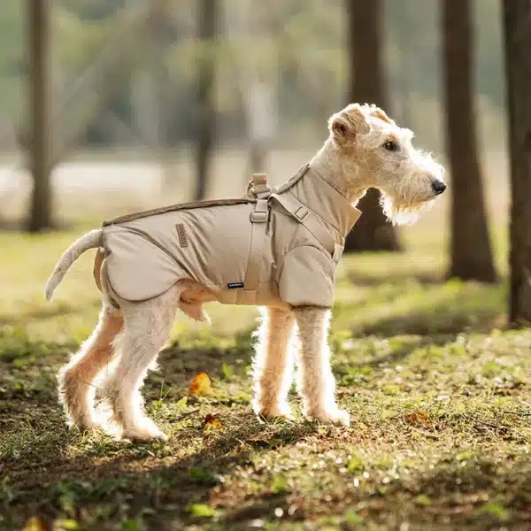 Veste hiver avec harnais petit chien 17