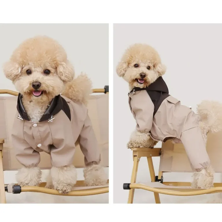 Parka impermeable petit chien 2