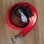 Laisse lumineuse LED pour chien 5