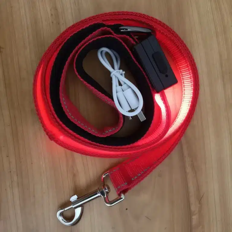 Laisse lumineuse LED pour chien 5