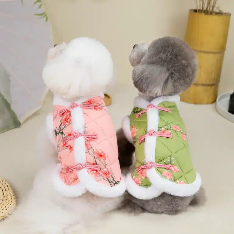 Costume chinois pour petit chien 4