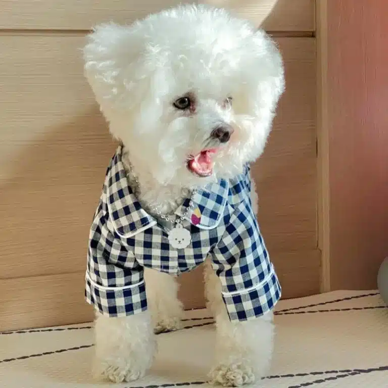 Pyjama été pour petit chien 3
