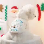 Pull à capuche neige pour petit chien 6