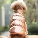 Manteau matelassé hiver pour petit chien 17