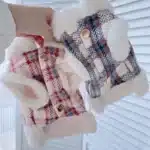 Manteau fourrure pour petit chien 2