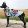 Veste imperméable pour chien 16