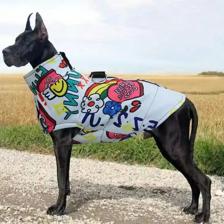Veste imperméable pour chien 16