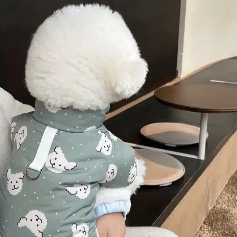 Veste a motif impermeable petit chien 3