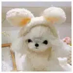 Manteau oreilles de lapin pilou pour petit chien 5