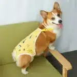 Sous-vêtement petit chien 7