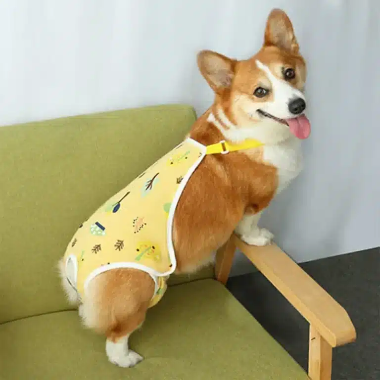 Sous-vêtement petit chien 7