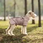 Veste hiver avec harnais petit chien 14