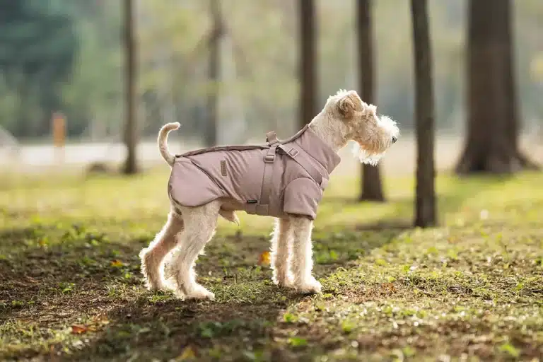 Veste hiver avec harnais petit chien 14