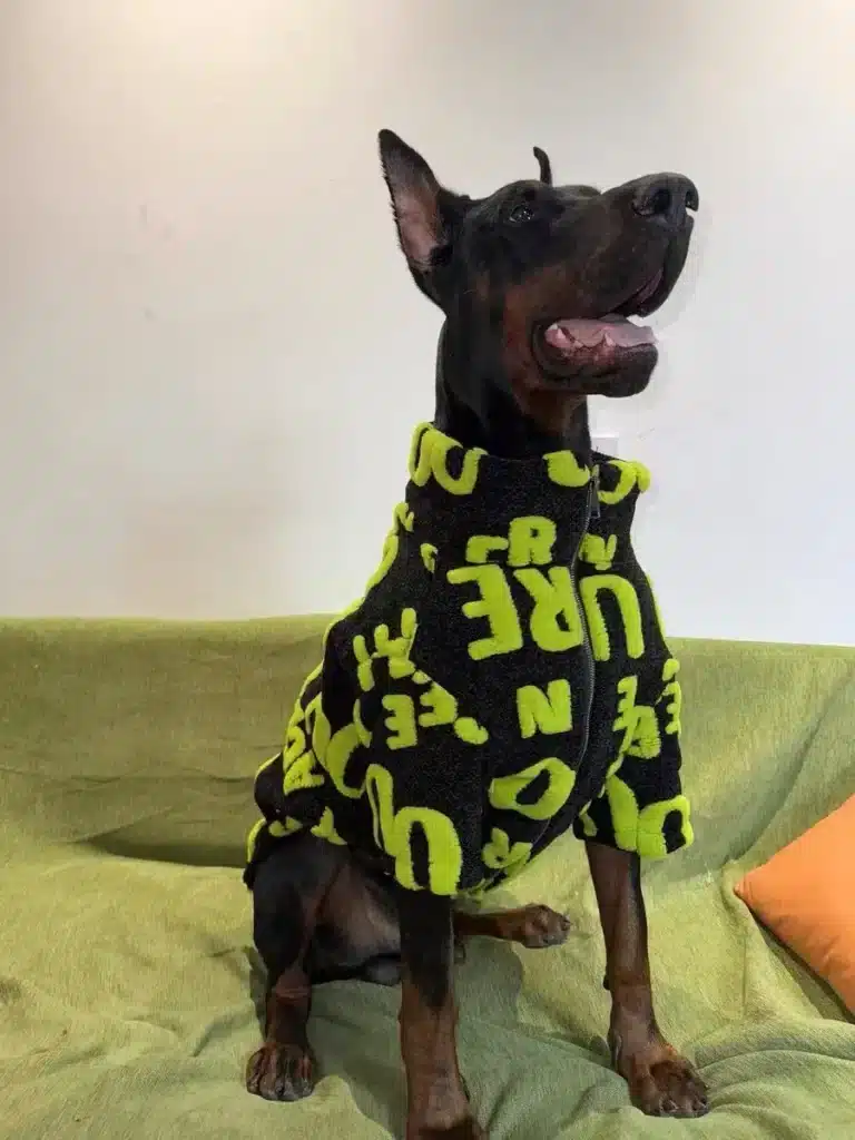 Veste avec fermeture éclair pour chien 5