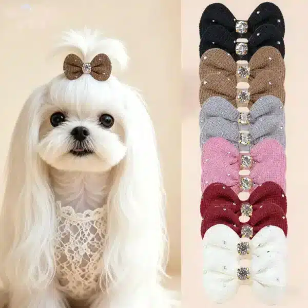 Lot Nœud de décoration pour petit chien 1