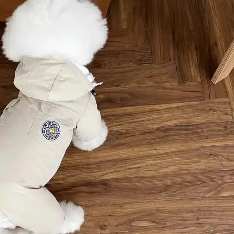 Parka hiver pour petit chien 5