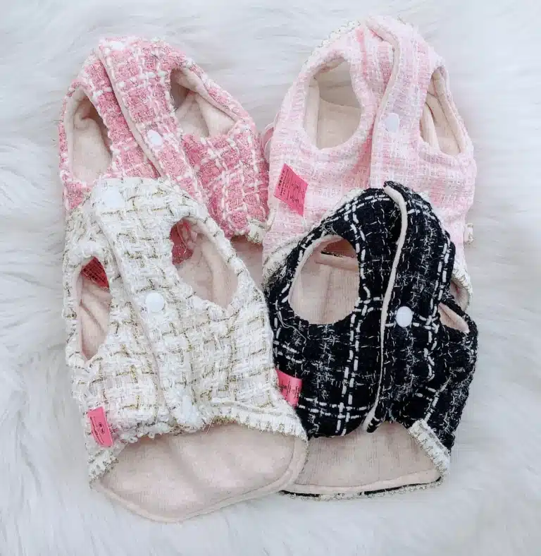 Robe princesse pour chien 6