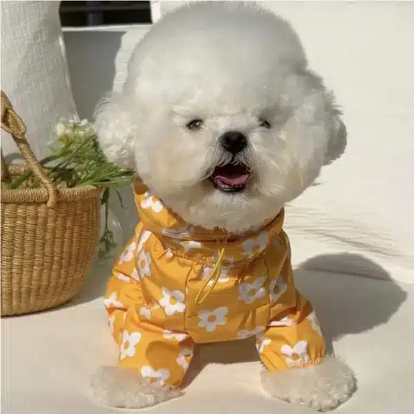 Imperméable avec motif pour chien 1