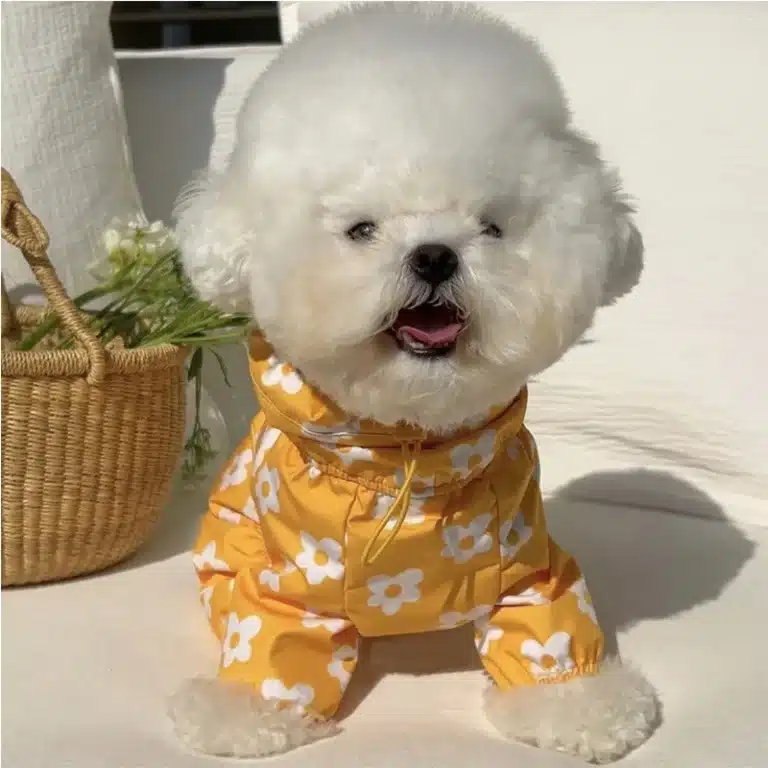 Imperméable avec motif pour chien 1