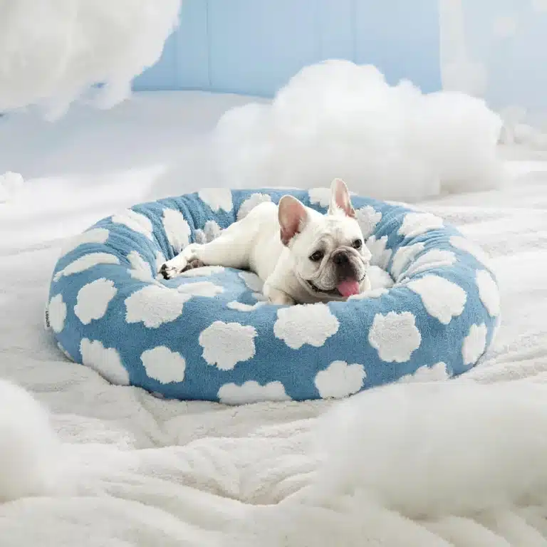 Panier nuage pour petit chien 5