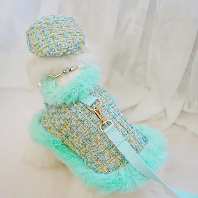 Ensemble hiver chic pour petit chien 4