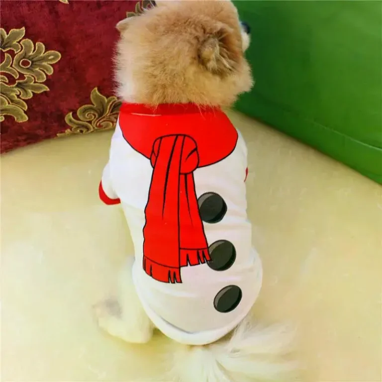 Tee shirt de noël pour chien 17