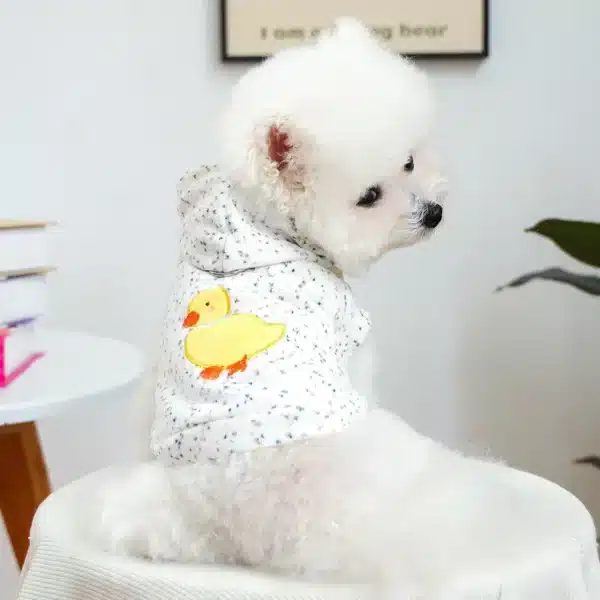 Pull à capuche poussin pour petit chien 2