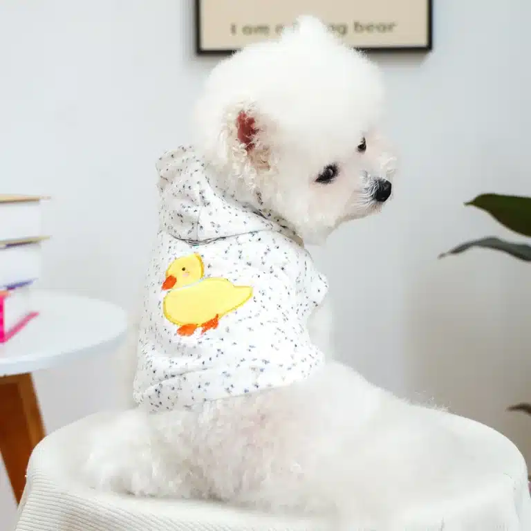 Pull à capuche poussin pour petit chien 2