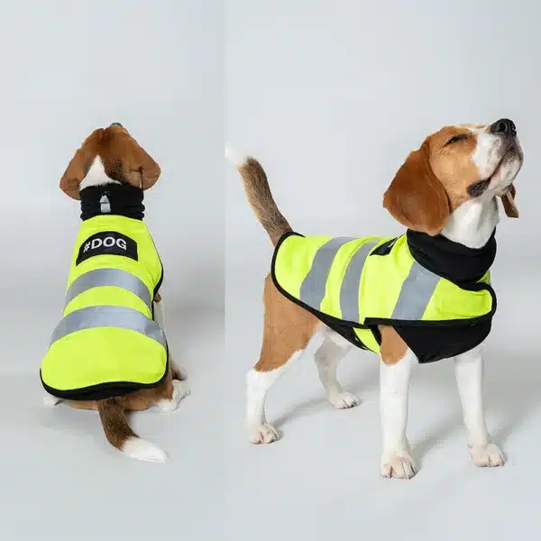 Gilet de sécurité réfléchissant petit chien 1