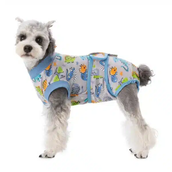 Combinaison orthopédique chien 11