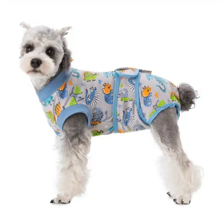 Combinaison orthopédique chien 11